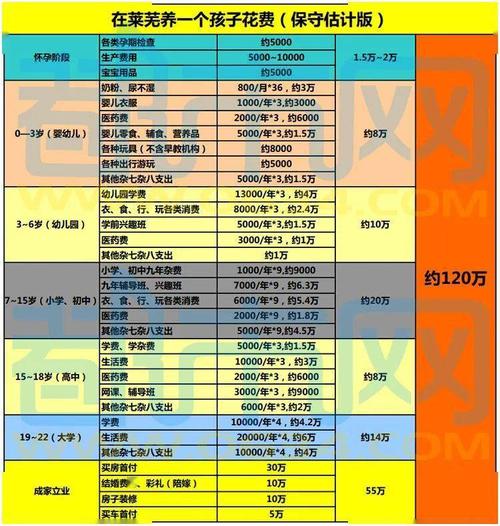 代生孩子收费10万元_代生孩子收费10万元：生育服务市场调查